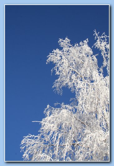 Arnhem Snow 161